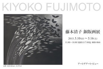img_fujimotokiyoko2015